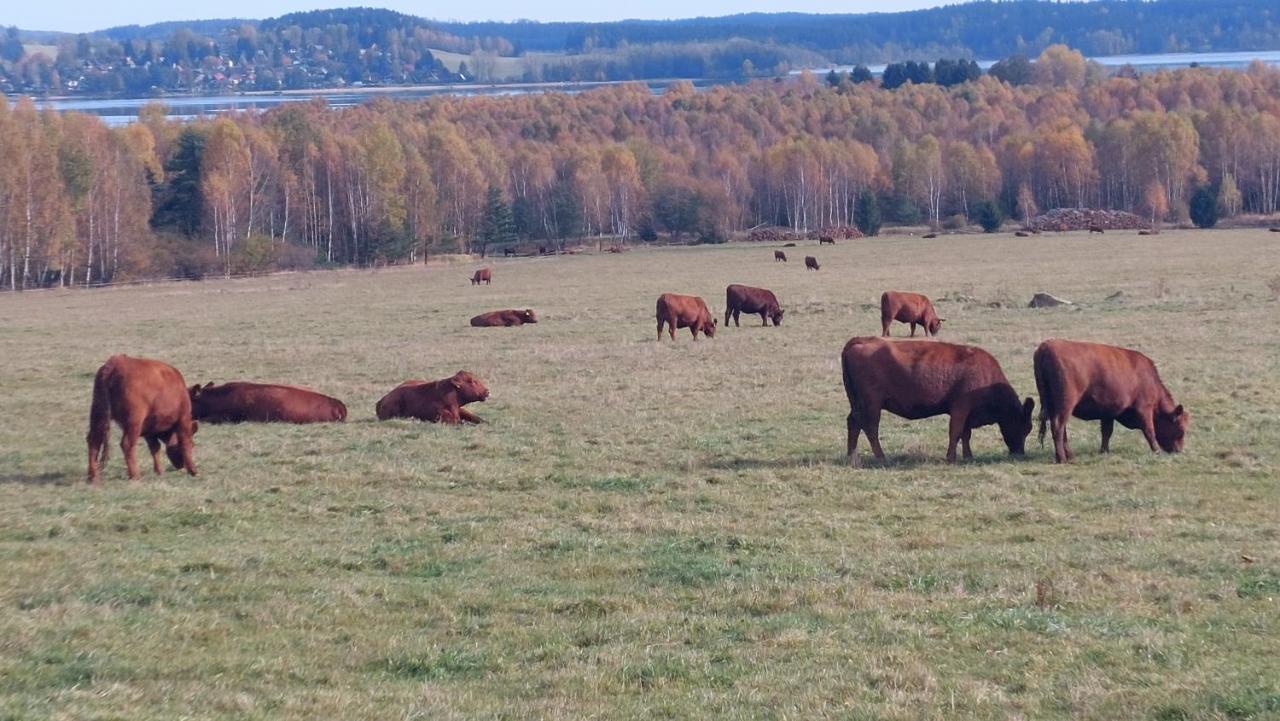 Apartmány Jura Nová Pec Kültér fotó